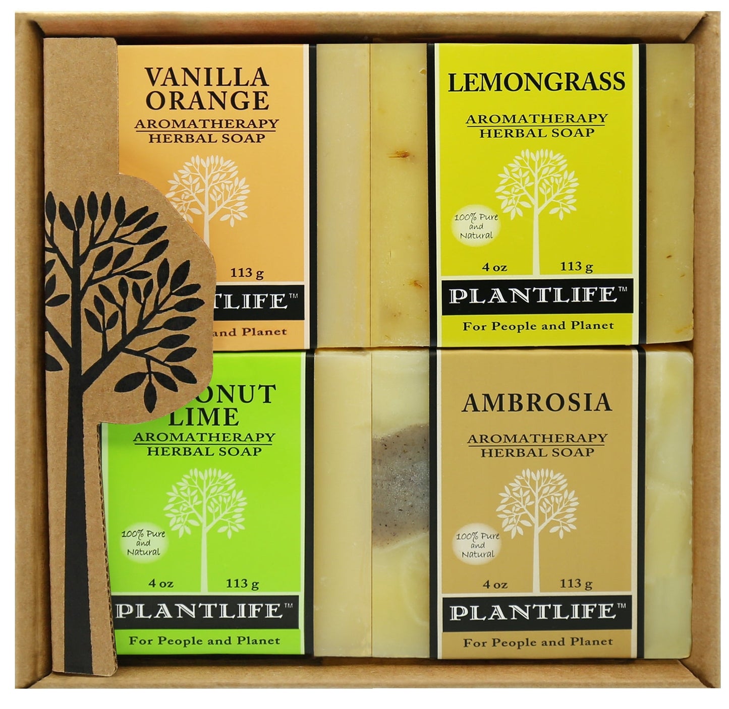 Plantlife 4 Pack Fruit Soap Combo