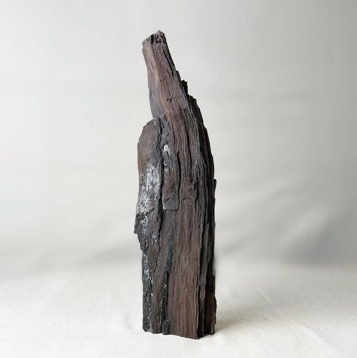 Wooden sculpture on a white background