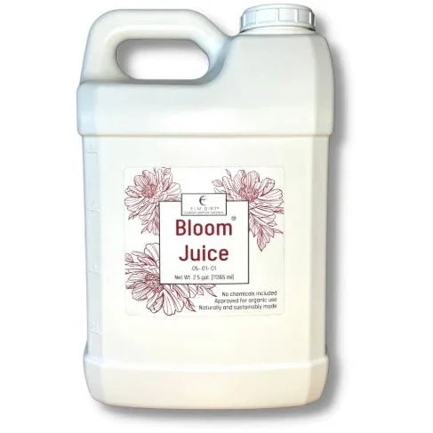 Bottle of Bloom Juice on a white background