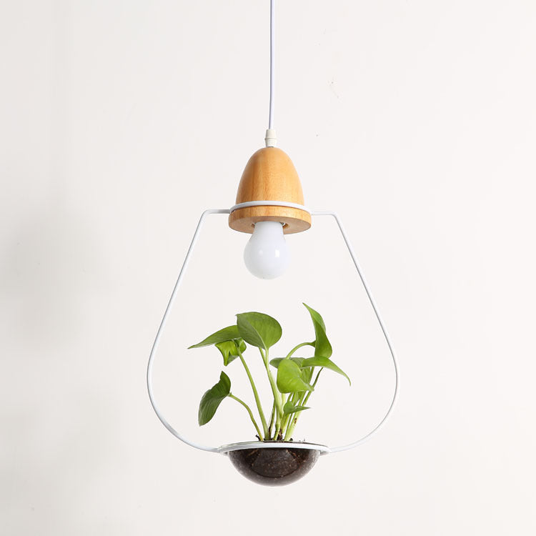 Hanging glass planter with wooden top and light bulb, containing a small plant on a white background