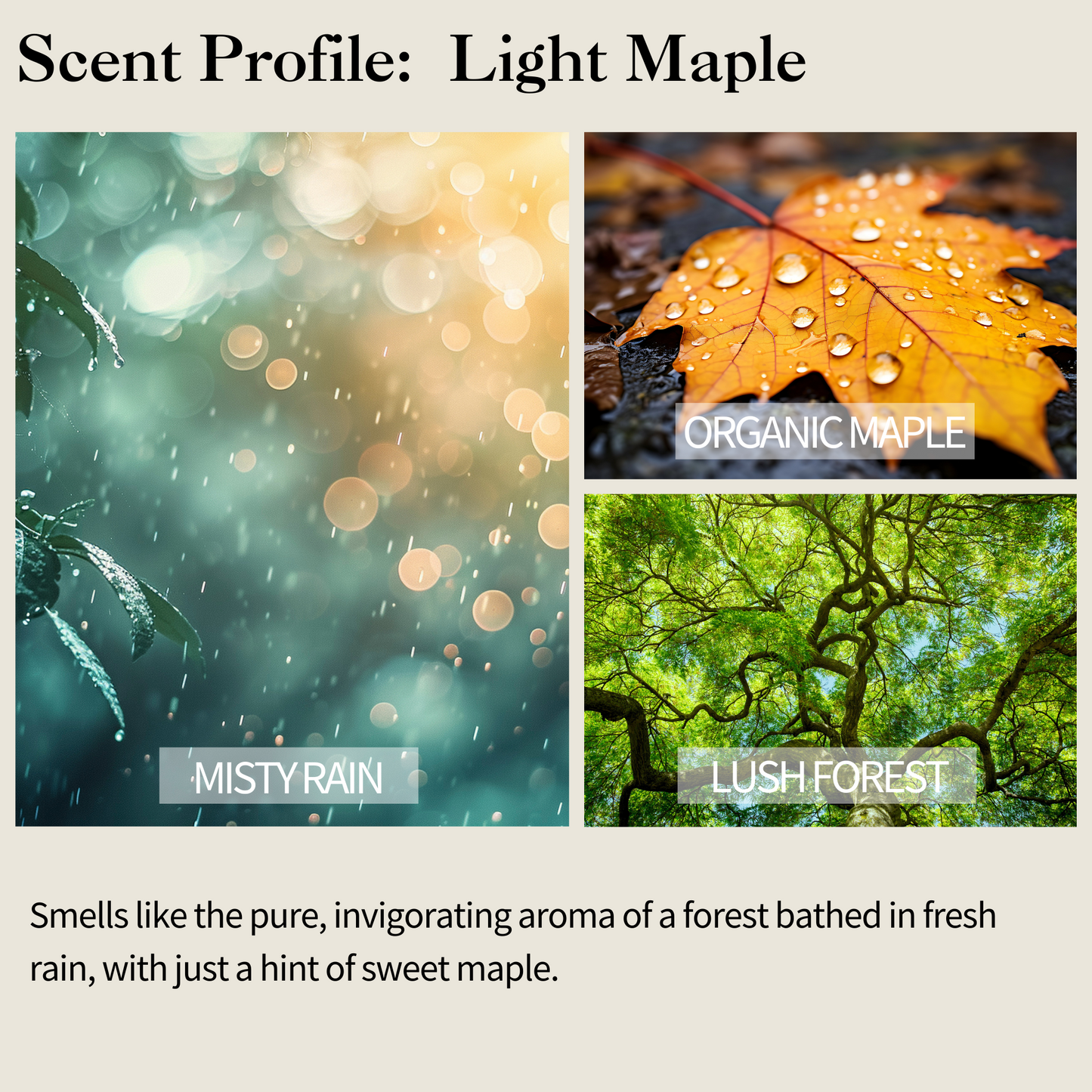 Clean Maple - Sap Water Infused Body Lotion