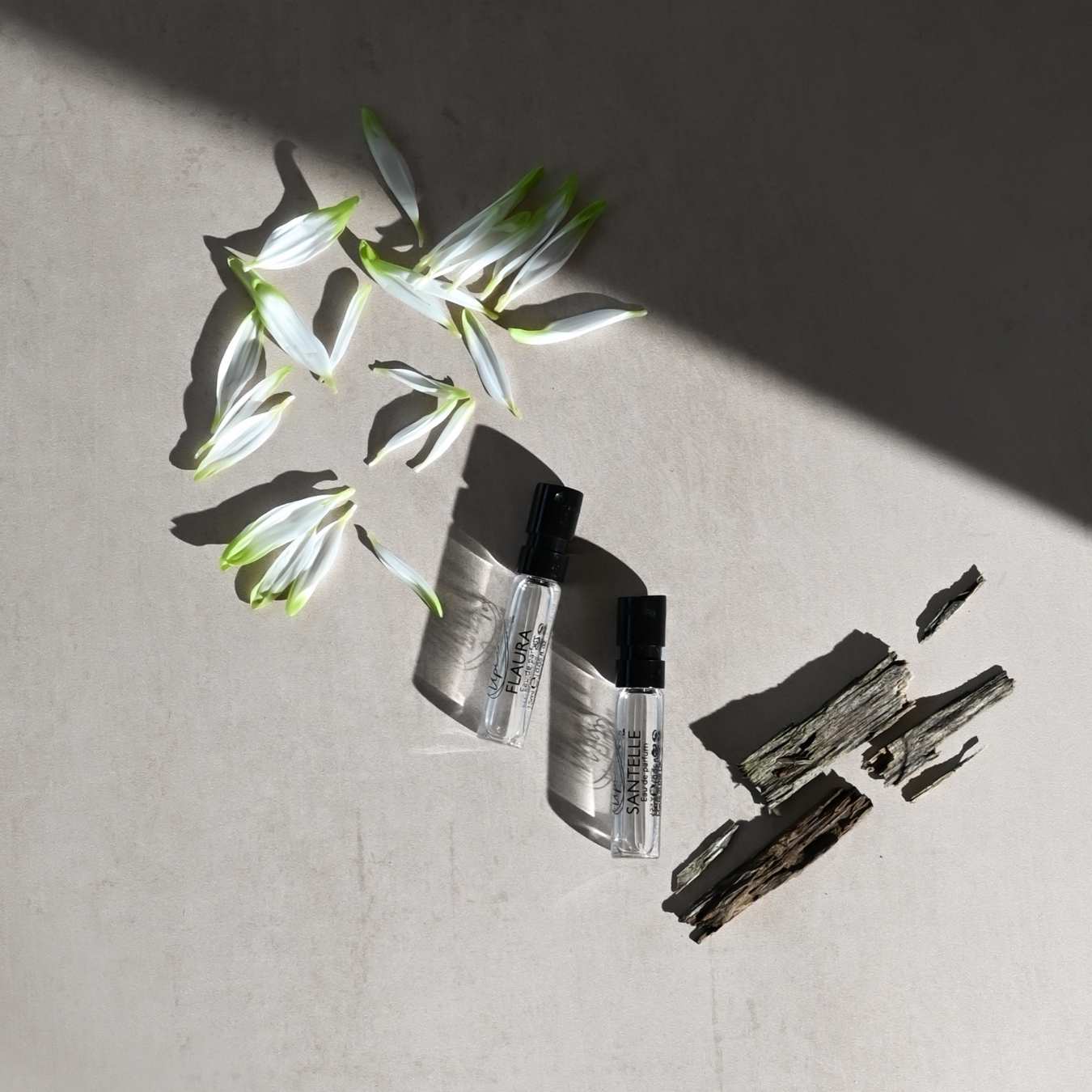 Two skincare bottles with black caps on a textured surface with green leaves.