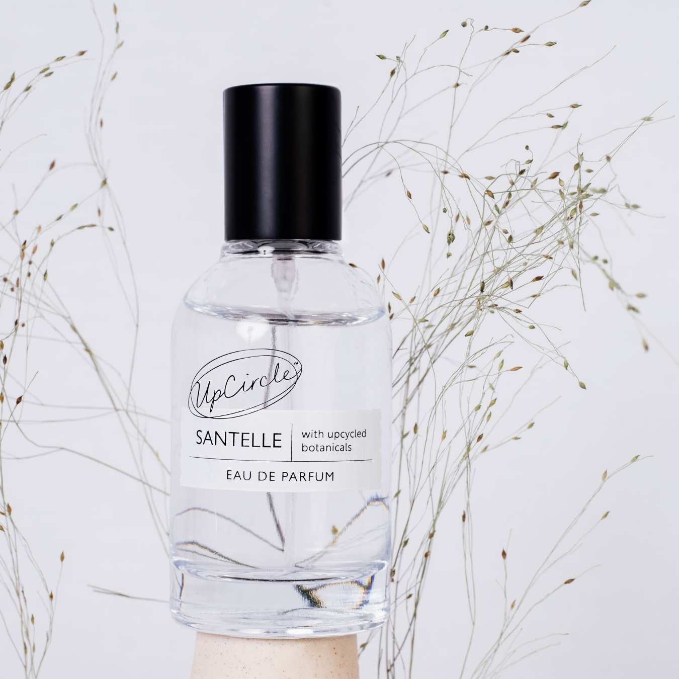 Clear perfume bottle with black cap on a light gray background with dried plants.