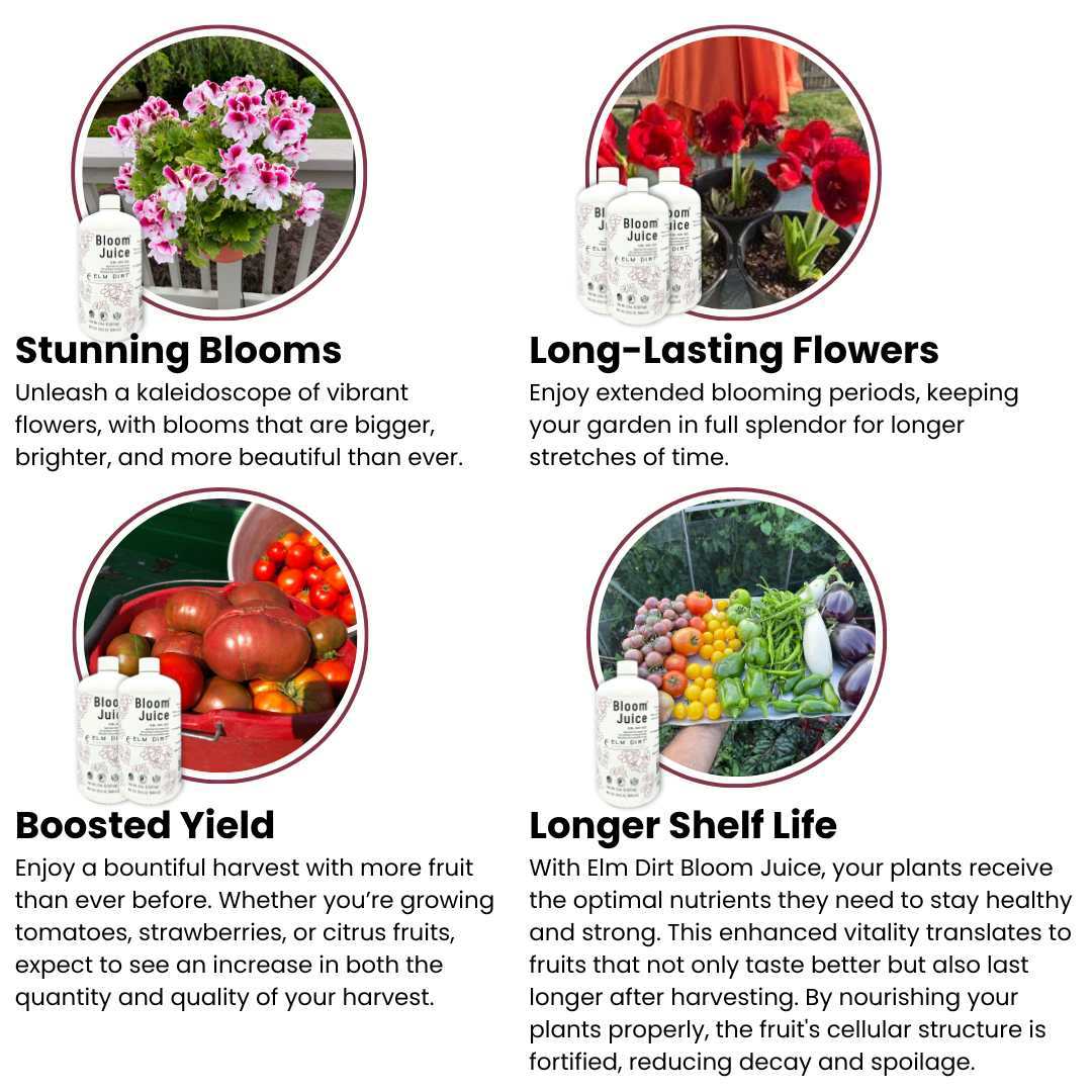 Product advertisement for Elm Dirt Bloom Juice with images of flowers, fruits, and vegetables on a white background.