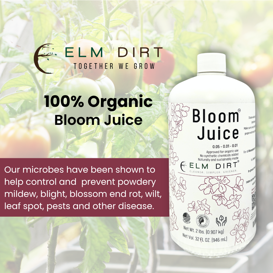 Bottle of Elm Dirt Bloom Juice with text about organic products and plant health benefits.