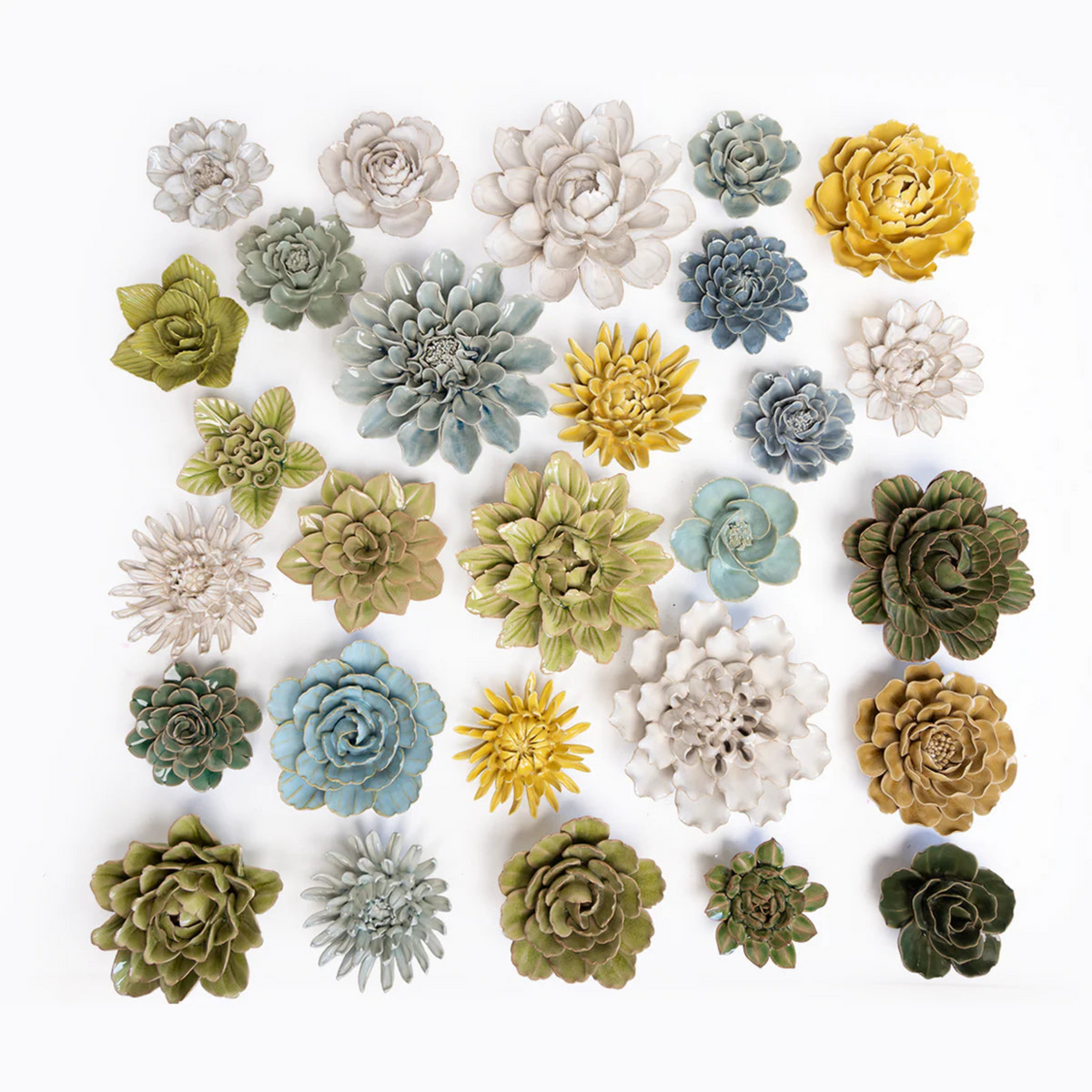 Collection of ceramic succulent plants in various colors on a white background