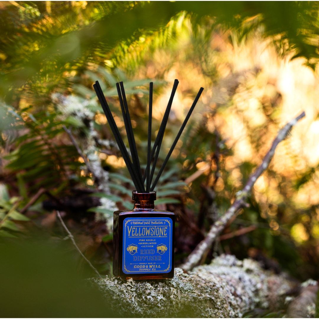Yellowstone diffuser bottle with reeds in a forest setting