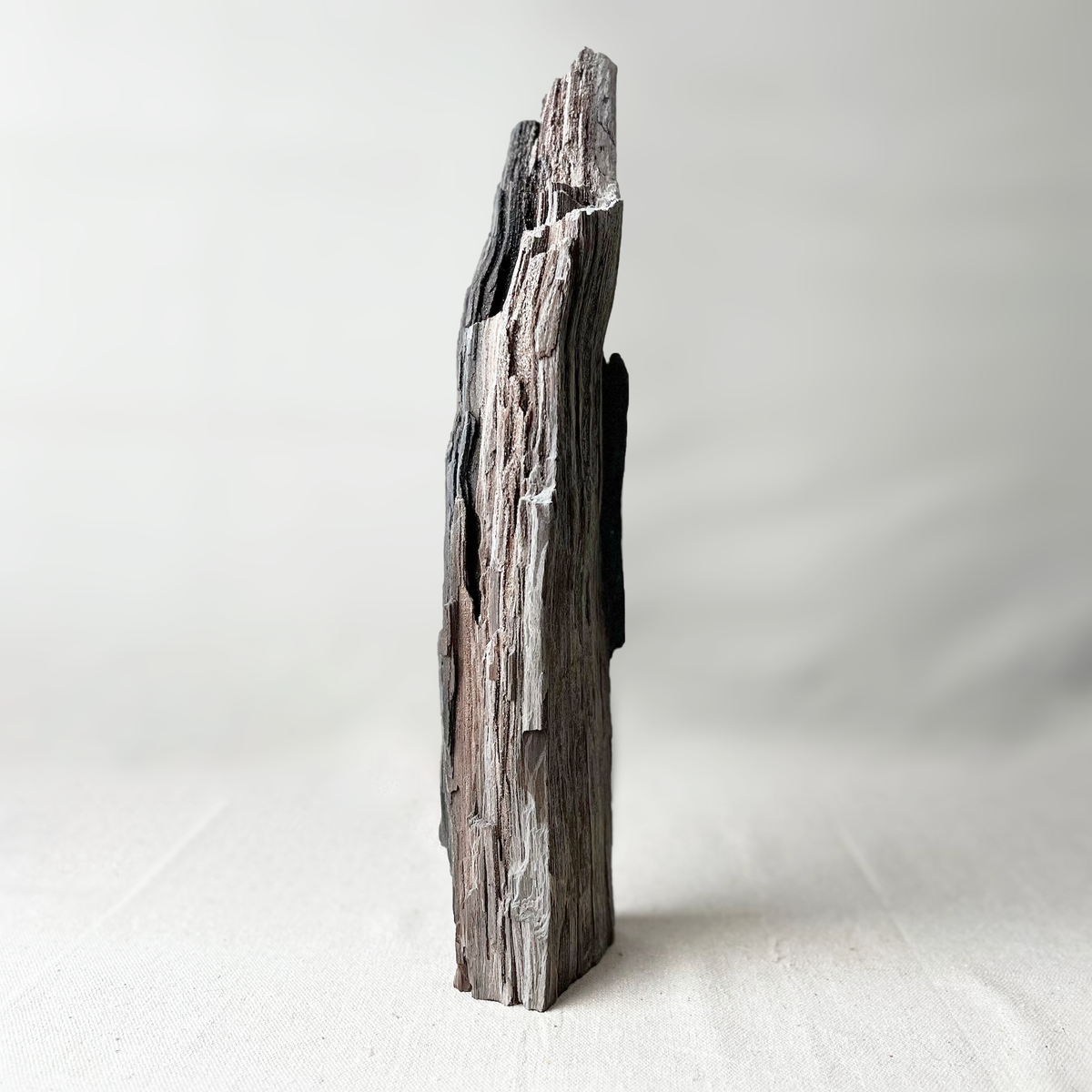 Wood piece on a white background
