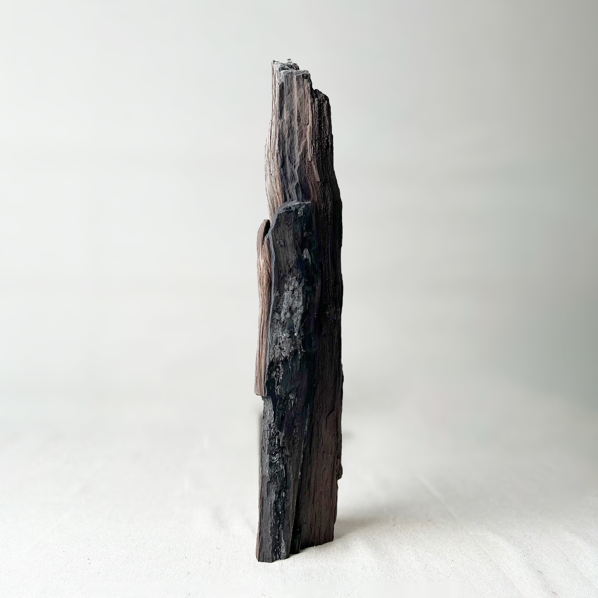 Wood piece on a white background