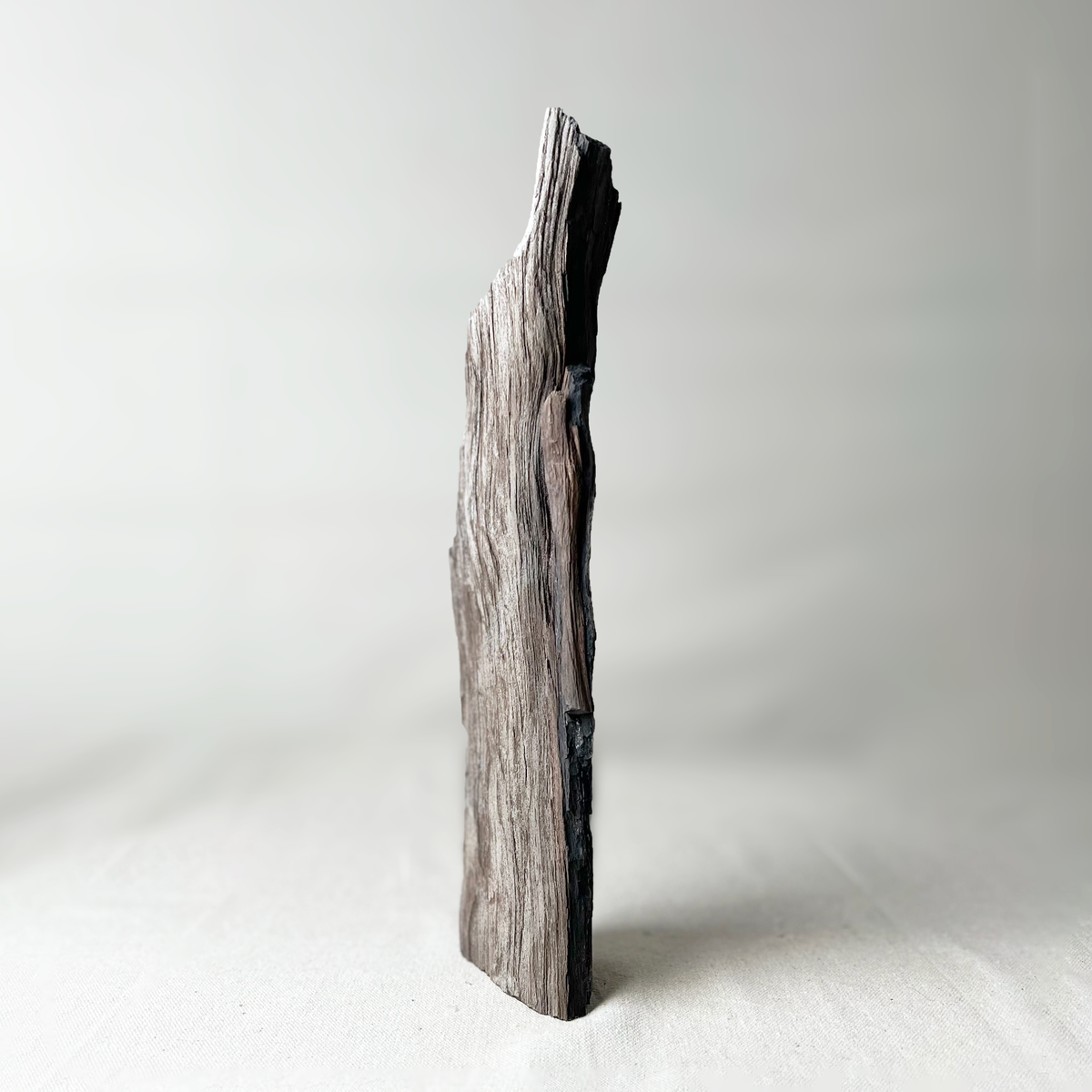 Wood piece on a white background
