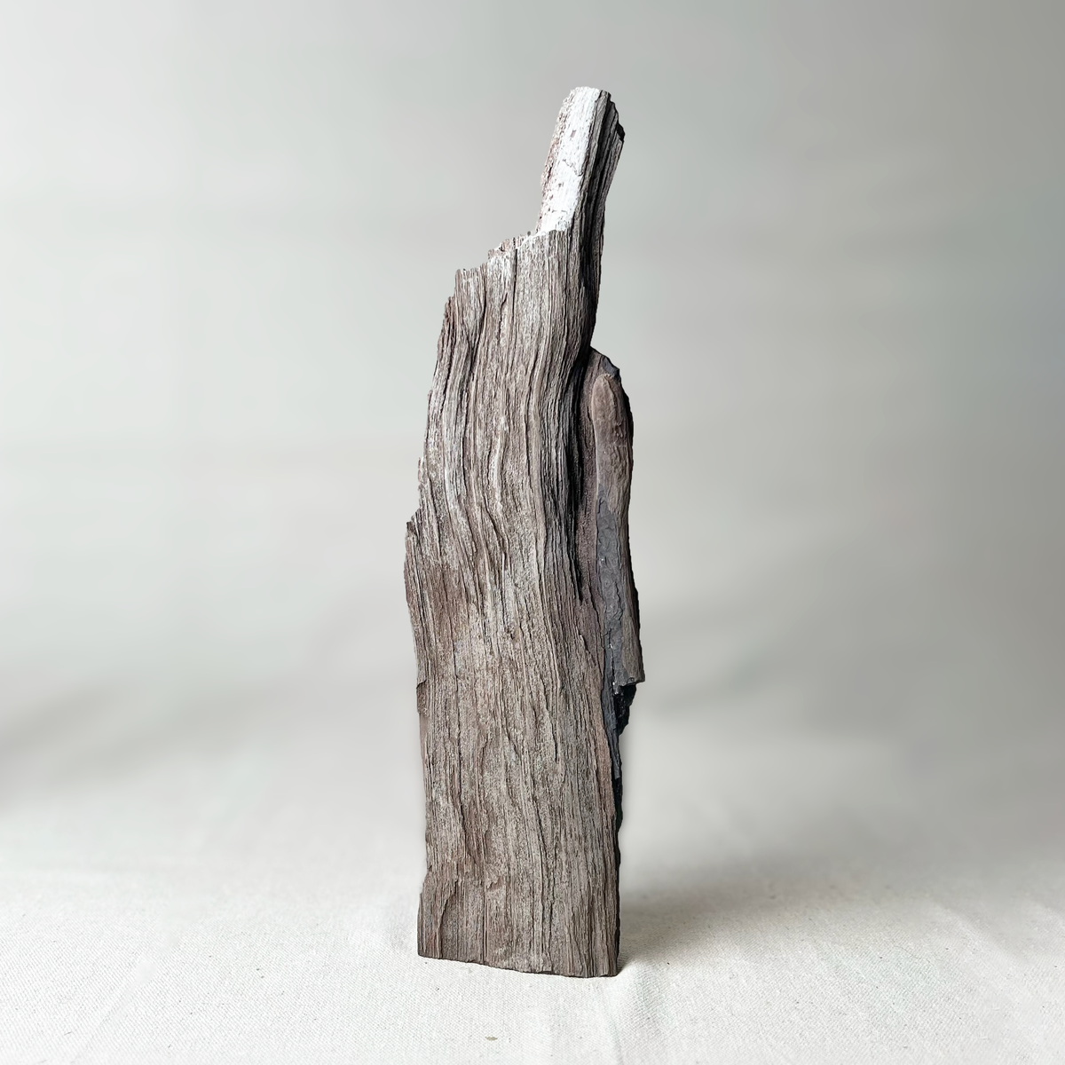 Wood piece on a white background