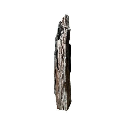 A single vertical piece of textured wood with layered bark-like ridges in brown, gray, and off-white tones, isolated on a plain white background.