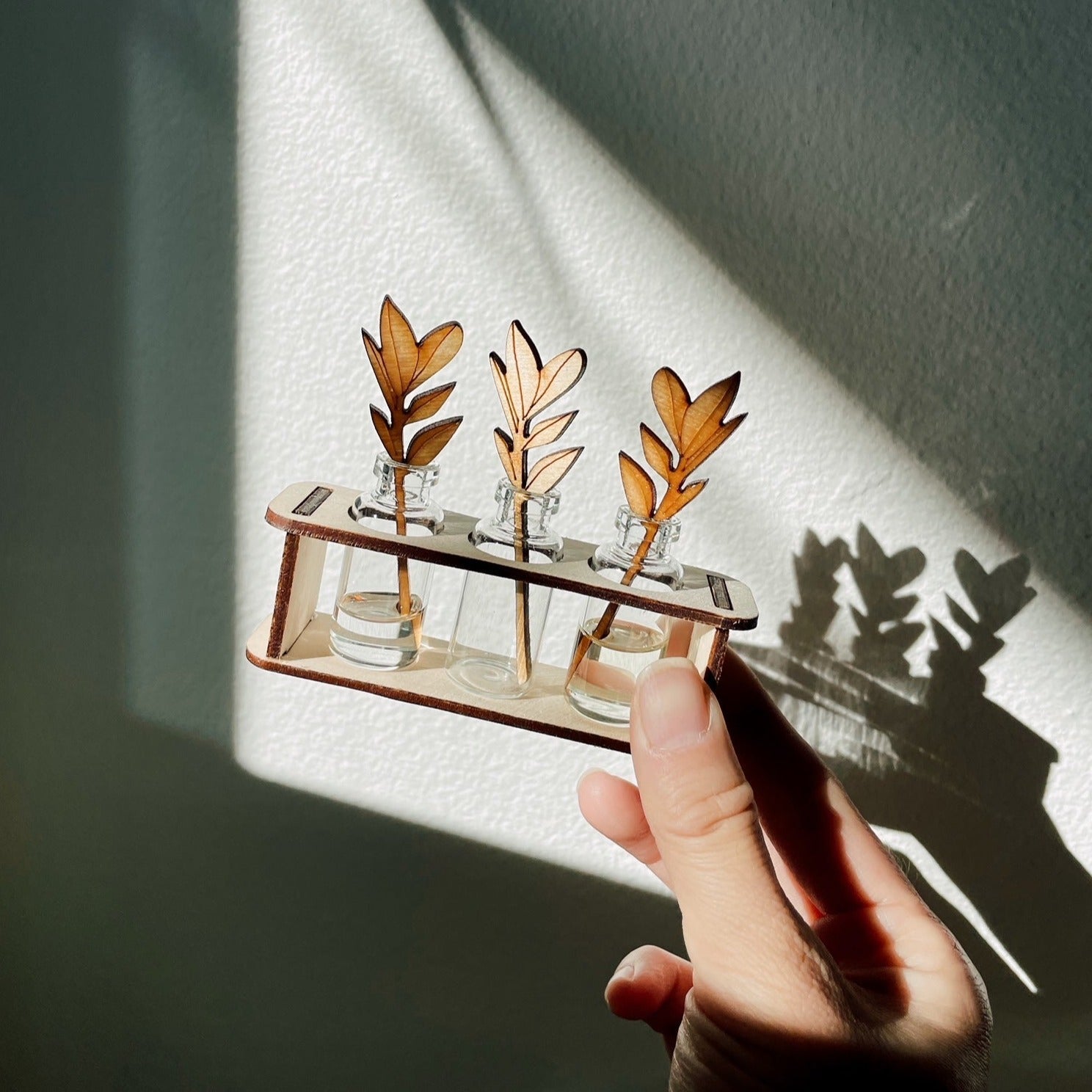 Hand holding a small wooden stand with three glass vials containing plants against a light-colored wall.