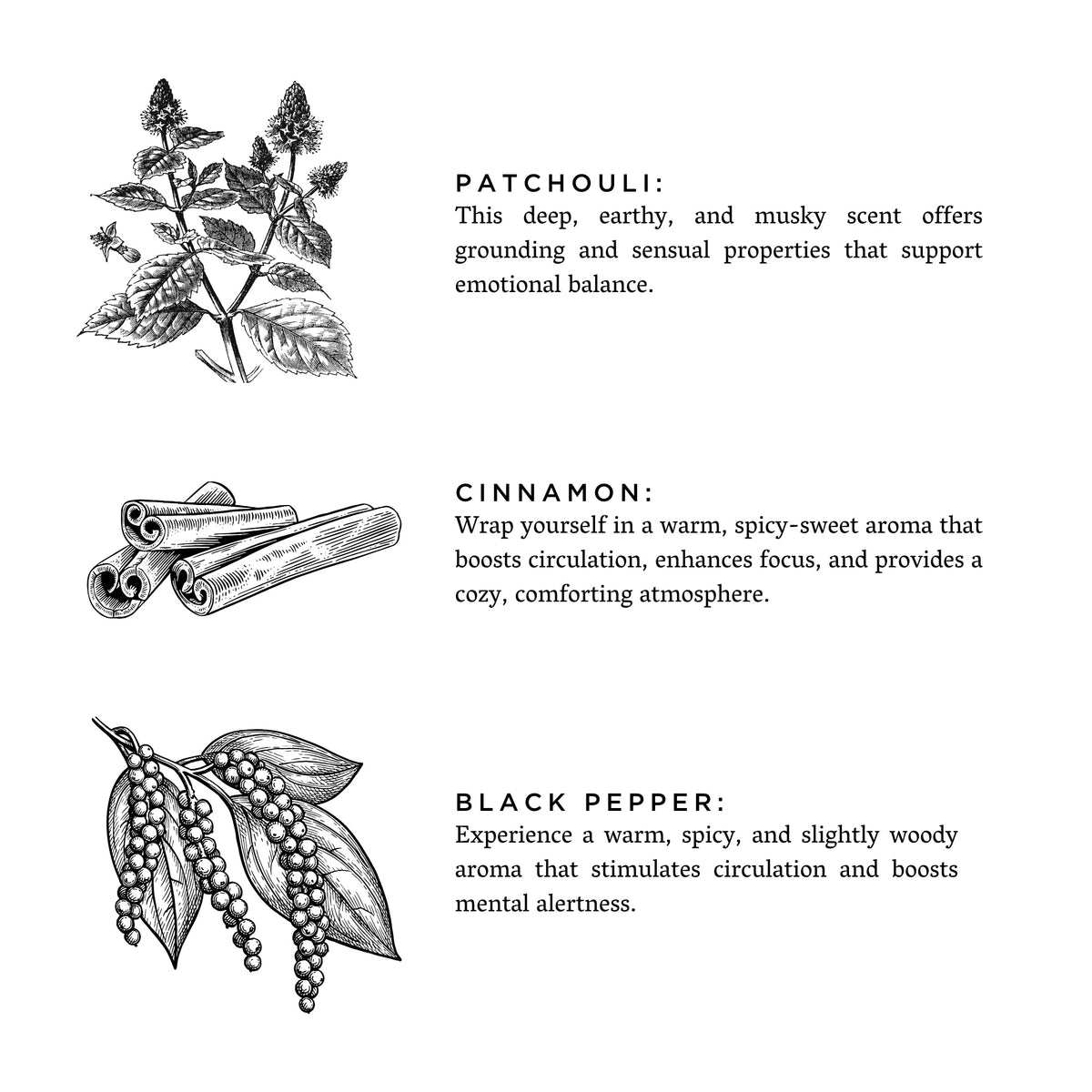Illustrations of patchouli, cinnamon sticks, and black pepper with descriptive text on a white background.