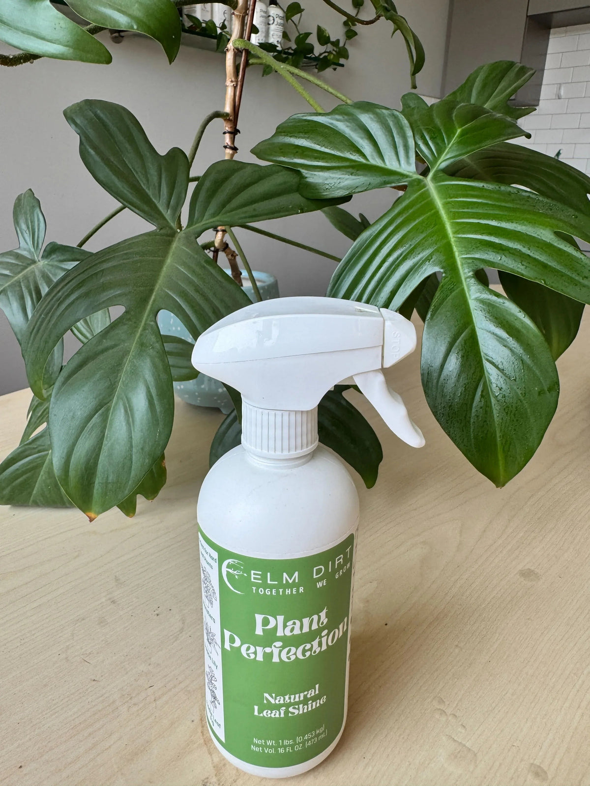 Bottle of Elm Dirt Plant Perfection spray next to a potted plant on a wooden surface.