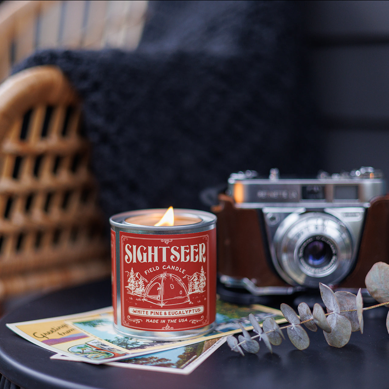 Sightseer candle with a vintage camera and dried leaves on a table.