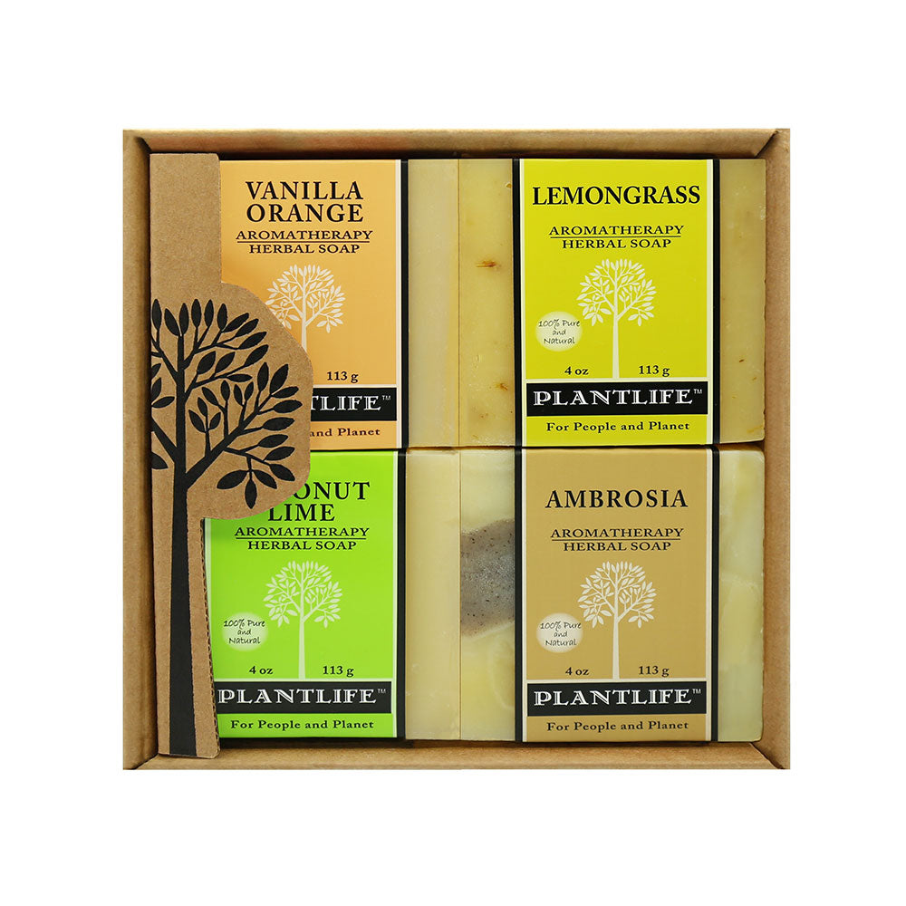 Plantlife 4 Pack Fruit Soap Combo