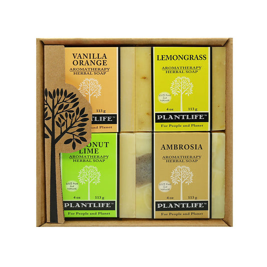 Plantlife 4 Pack Fruit Soap Combo