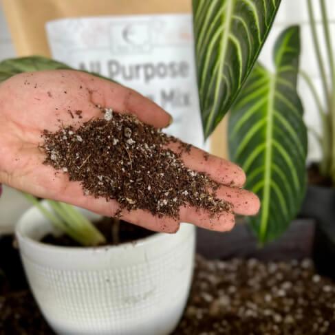 Hand holding potting soil with a plant and packaging in the background