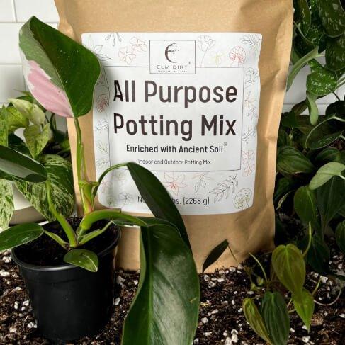 A brown paper bag of E.M. DIRT All Purpose Potting Mix stands in a garden bed surrounded by green houseplants and soil.