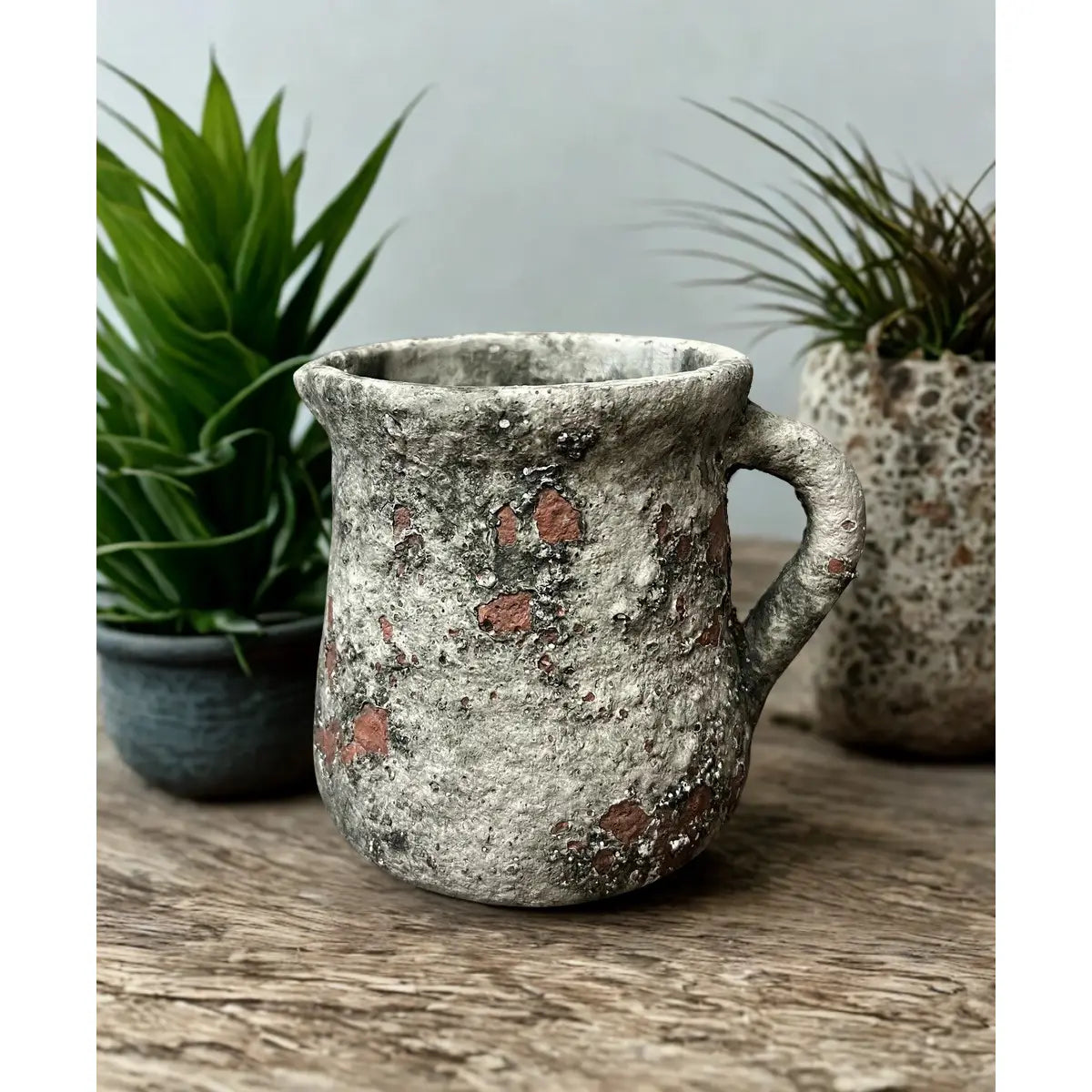 Ceramic mug with rustic finish on a wooden surface with plants in the background