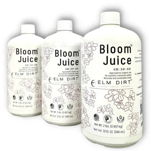 Three bottles of Bloom Juice by Elm Dirt on a white background