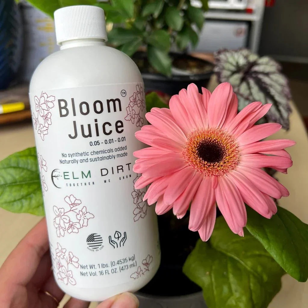 Bottle of 'Bloom Juice' plant food next to a pink flower with plants in the background