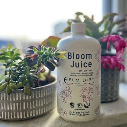 Bottle of 'Bloom Juice' plant food with plants in the background