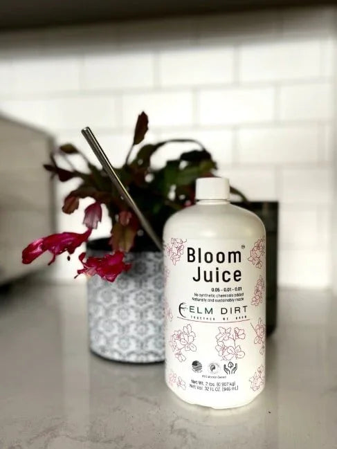 Bottle of 'Bloom Juice' on a kitchen counter with a plant in the background