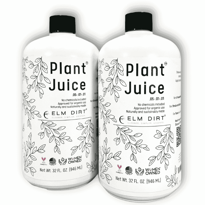 Two bottles of Elm Dirt Plant Juice on a white background