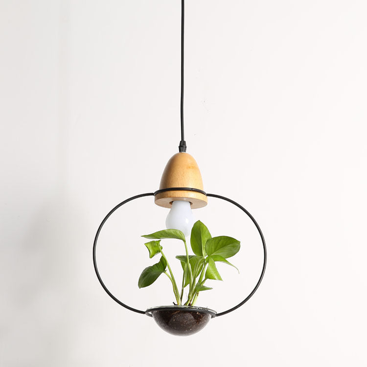 Light bulb with wooden top and glass enclosure containing a small plant on a white background