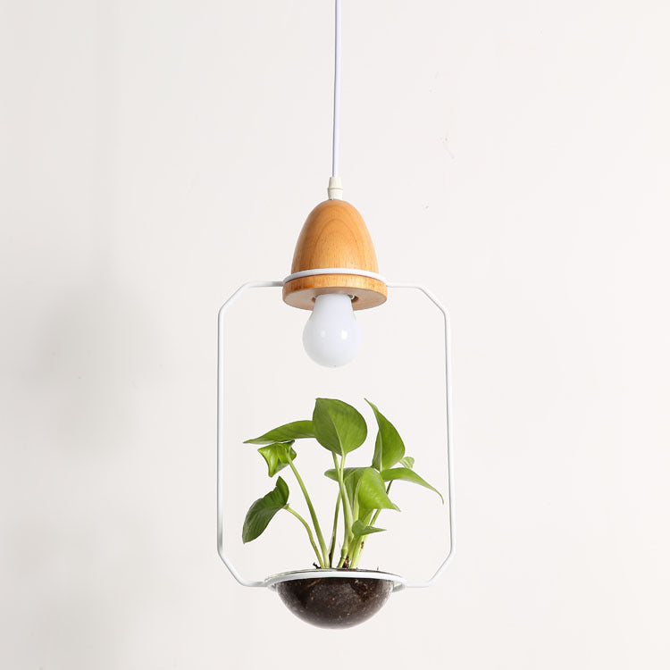 Pendant light with wooden shade and clear glass housing a plant on a white background