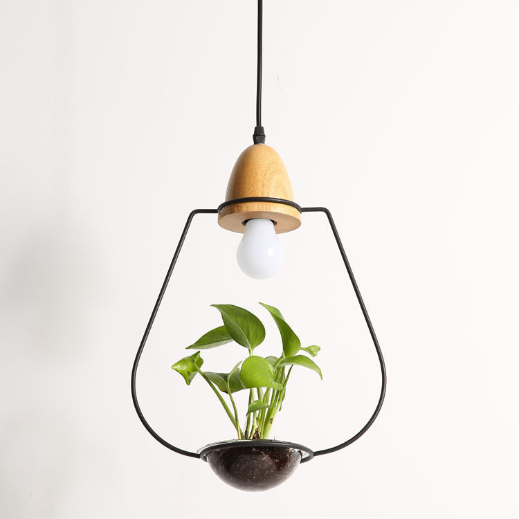 Light bulb with wooden top and plant inside on a white background