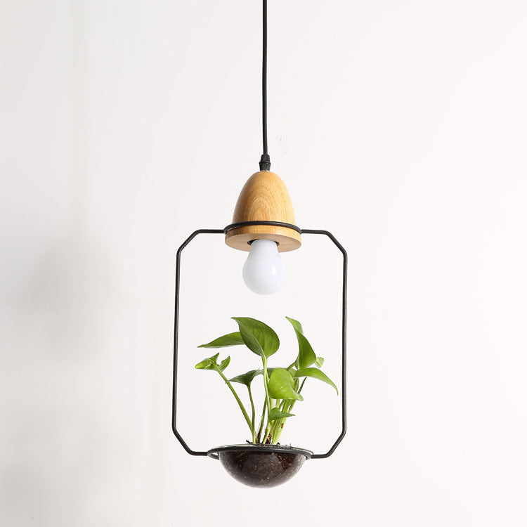 Pendant light with wooden shade and plant inside on a white background