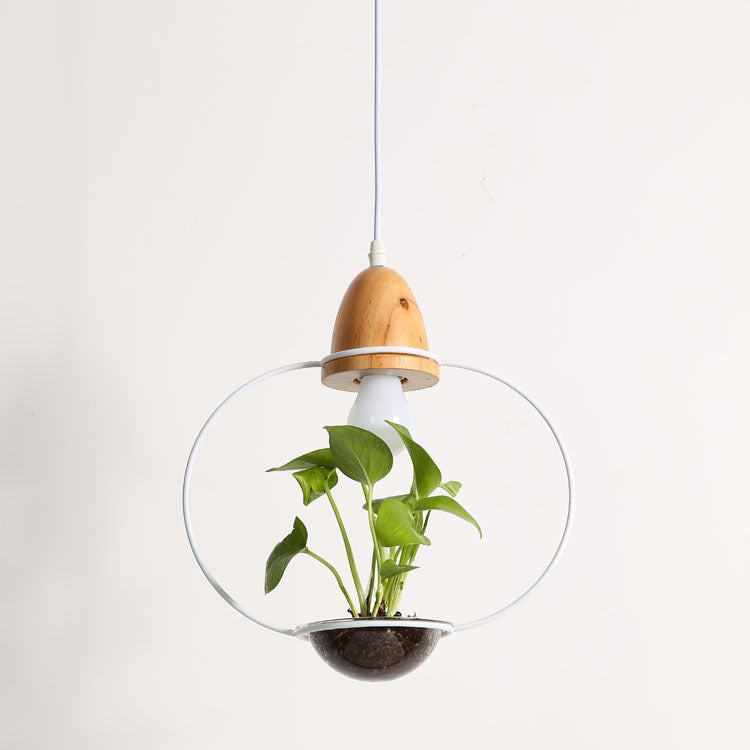 Pendant light with a wooden top and glass shade containing a plant on a white background