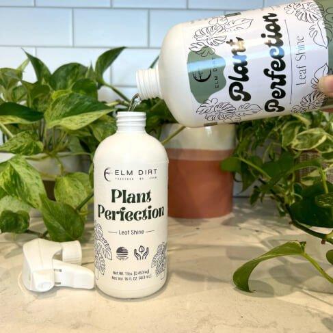 Bottle of 'Plant Perfection' leaf shine being poured into another bottle with plants in the background.